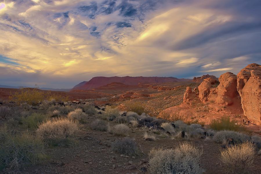 Santa Clara River Reserve Utah Photograph by Heidi Fickinger - Pixels