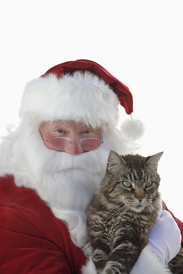 Santa Claus holding cat Photograph by John Block