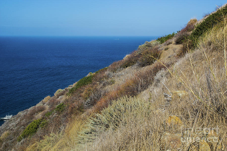Santa Cruz Island Cliffs Photograph by Suzanne Luft