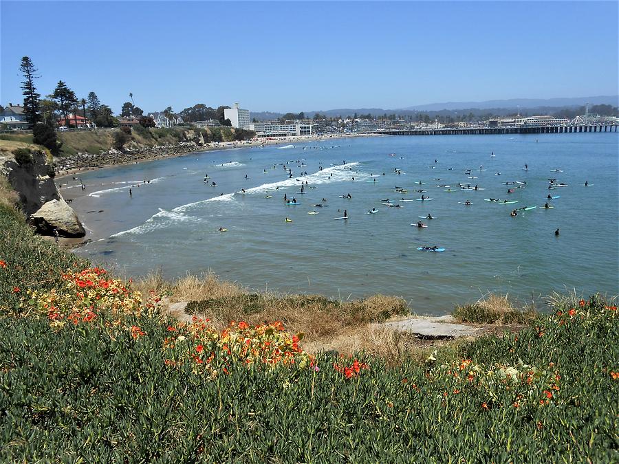 Santa Cruz Surfers Photograph