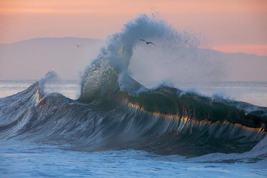 Santa Cruz Wave #1 Photograph by Carla Brennan