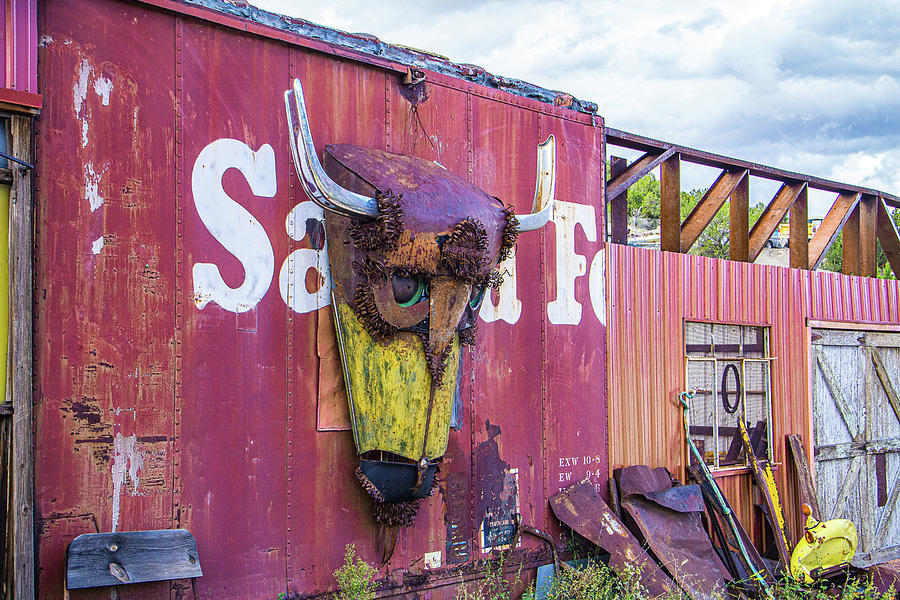 Santa Fe Buffalo Photograph by Steven Bateson - Fine Art America