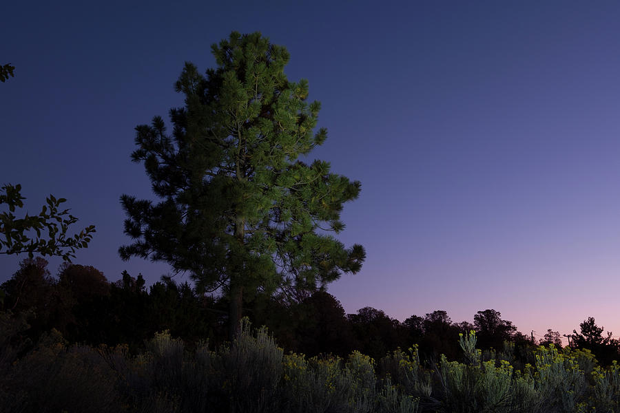 Santa Fe dusk Photograph by David L Moore