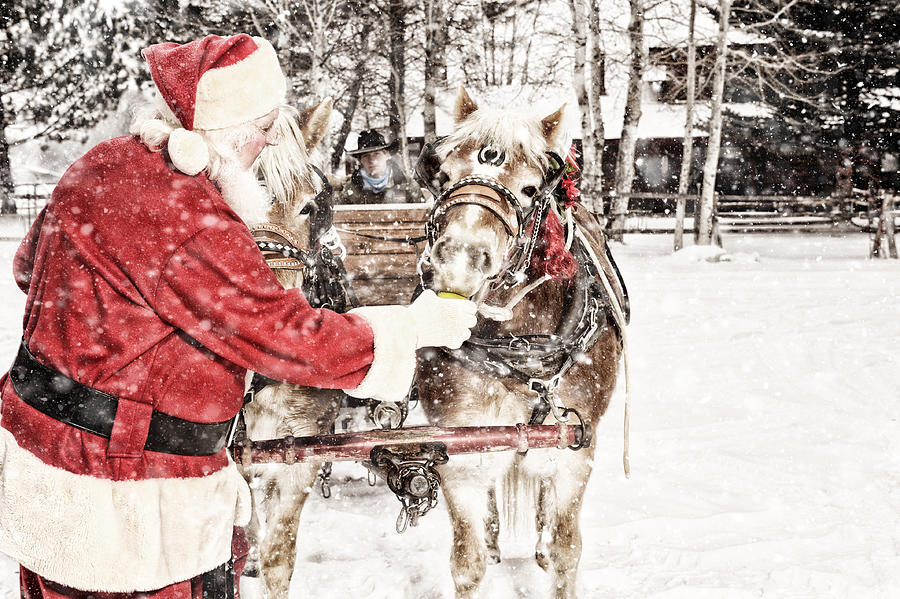 Santa Feeding Green Apples To A Team of Horses Photograph by LifeJourneys