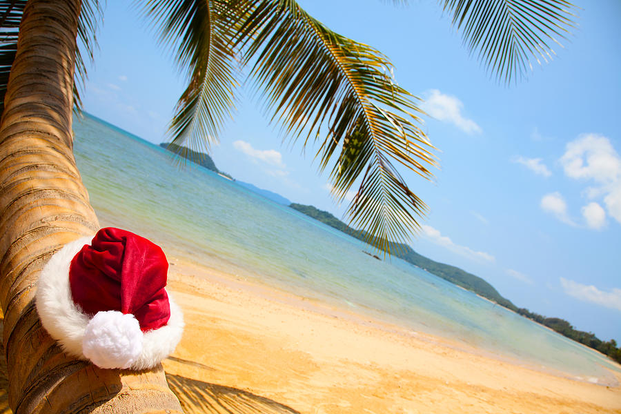 Santa hat resting on Palm tree in the tropics Photograph by Neoblues