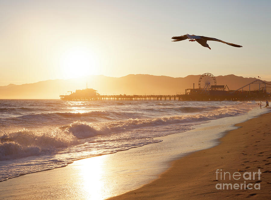 Santa Monica beach at sunset. Southern California Photograph by Stella Levi
