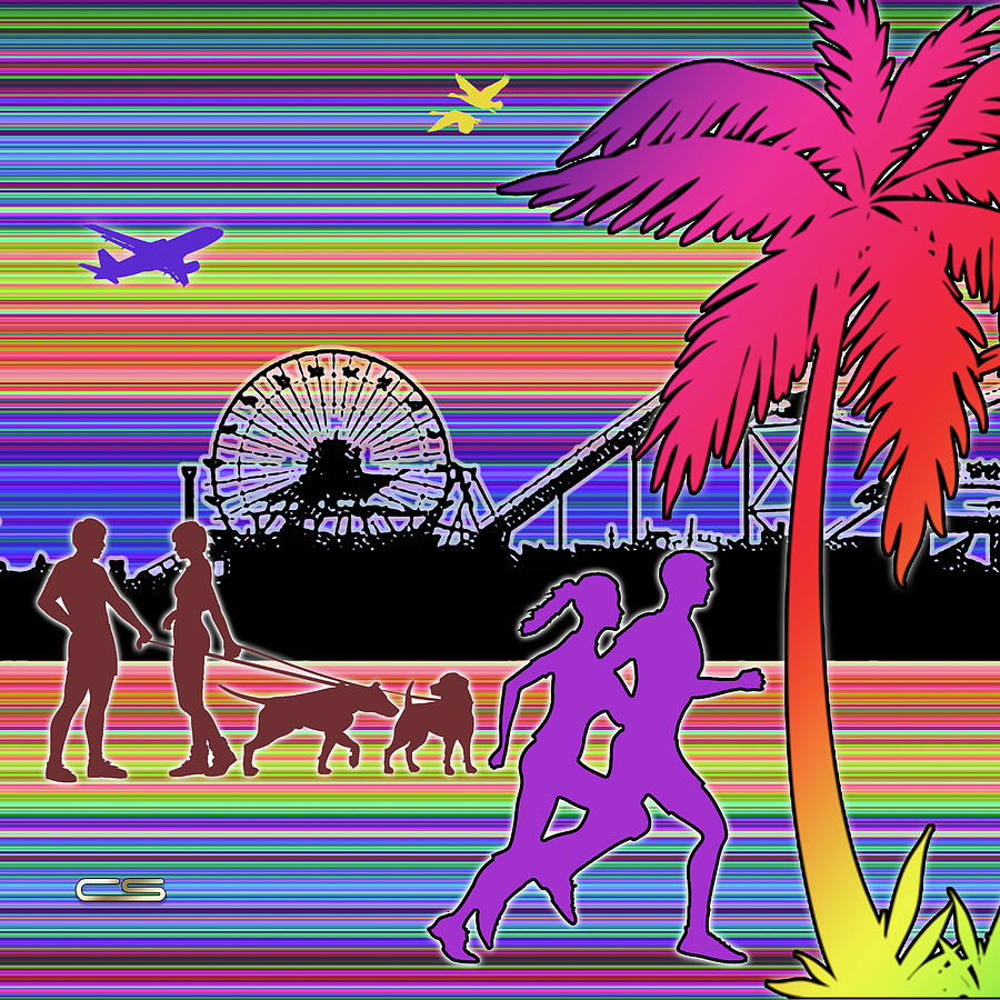 Santa Monica Pier Digital Art by Chuck Staley