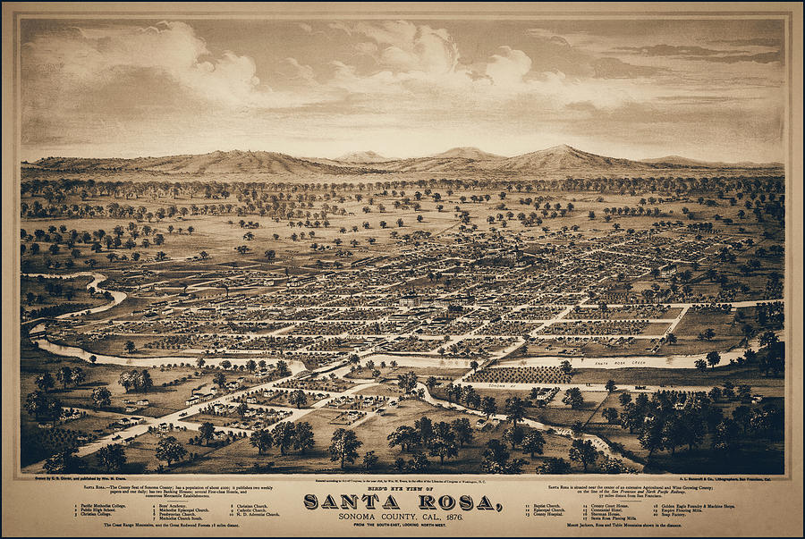 Napa Photograph - Santa Rosa Sonoma County California Vintage Map Birds Eye View 1876 Sepia  by Carol Japp