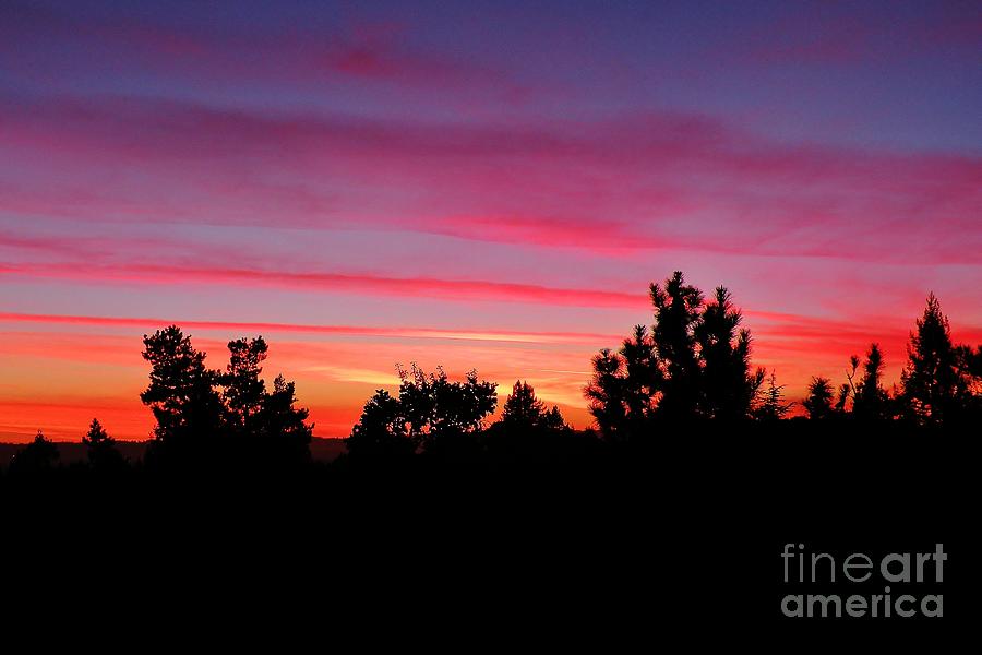 Sunset Photograph - Santa Rosa Sunset by Martha Sherman