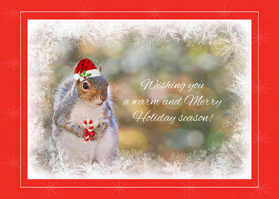 Santa Squirrel Greeting Card Photograph by Marilyn DeBlock