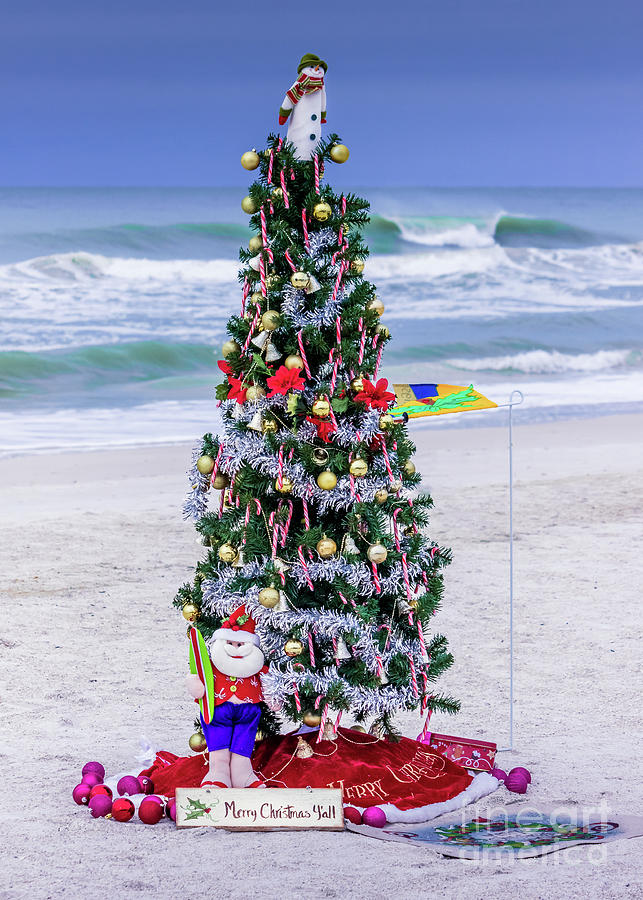 Santa's Christmas Tree on Anna Maria Island, Florida Photograph by