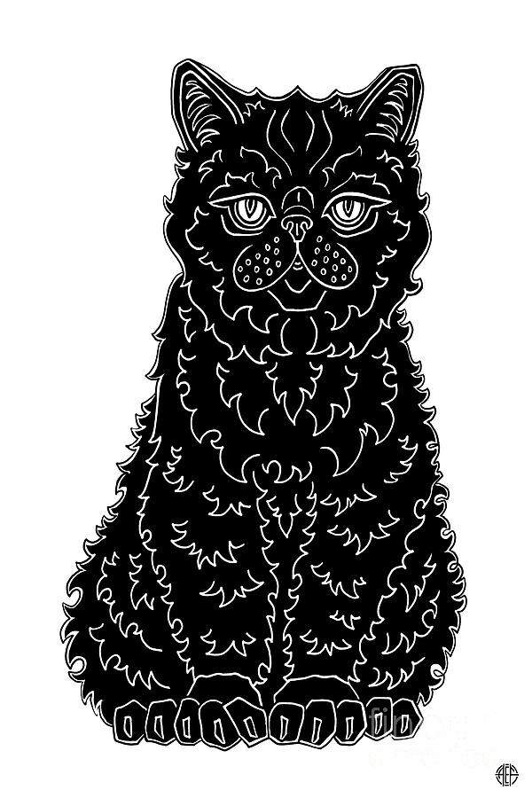 Santiago. Black Cat Ink  Drawing by Amy E Fraser