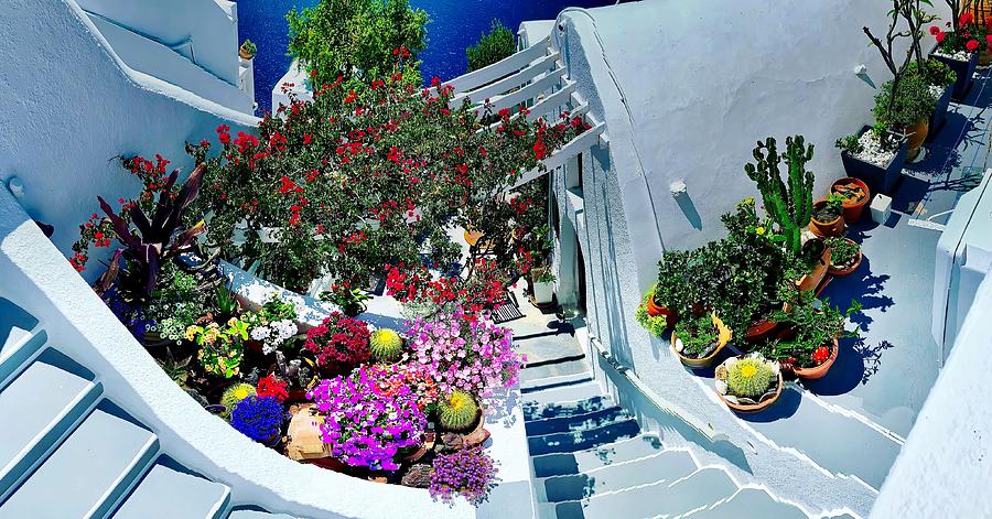 Santorini Flower Bed Photograph by John Babis