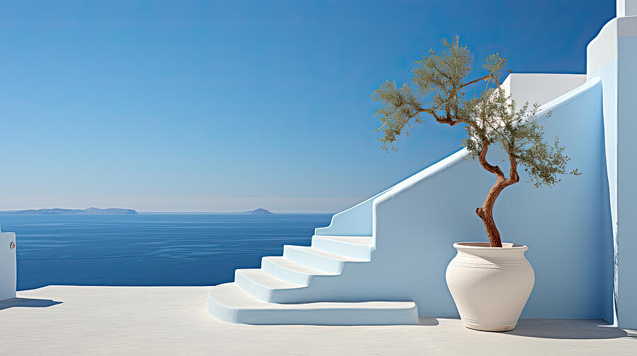 Santorini Olive Tree Digital Art by Evie Carrier