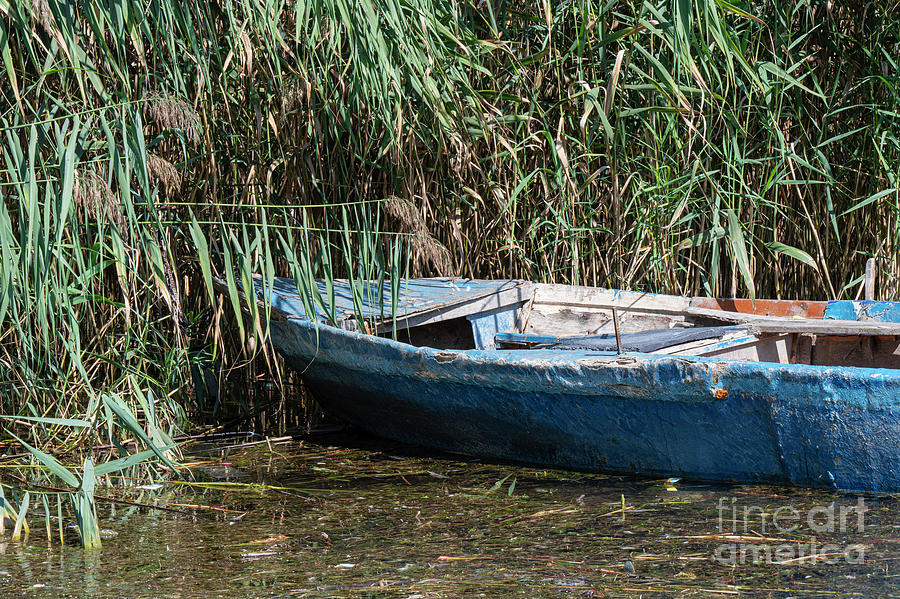 Sapanca Lake Fishing Boat in the Reeds Photograph by Bob Phillips