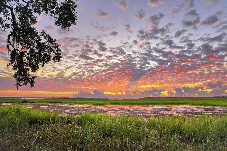 Sapelo Summer by Kenny Nobles Sapelo Summer by Kenny Nobles