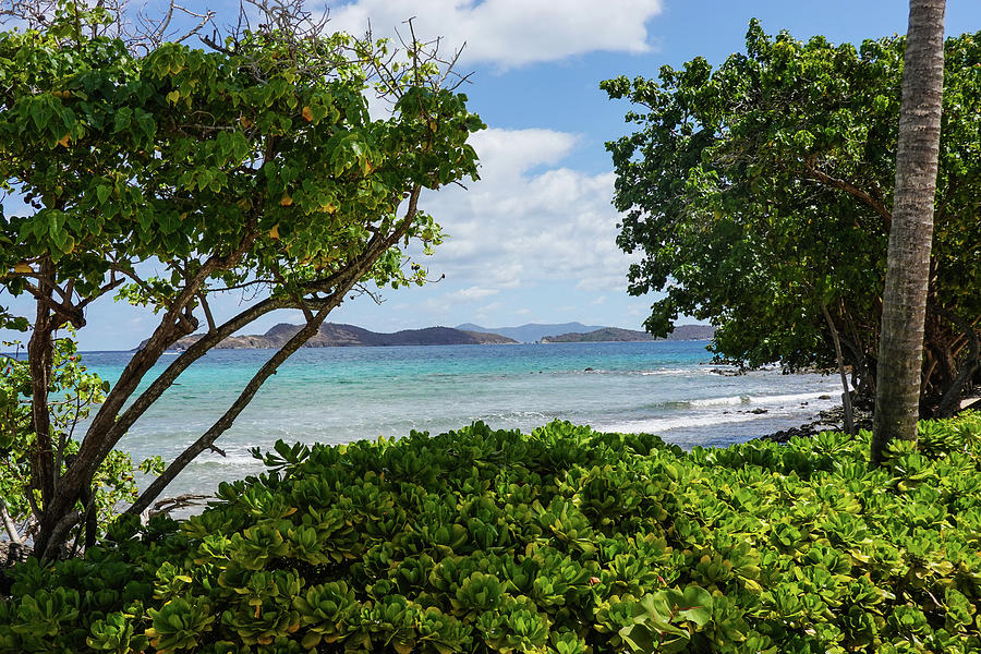 Sapphire Beach in Saint Thomas Caribbean Through the Trees Photograph by Toby McGuire