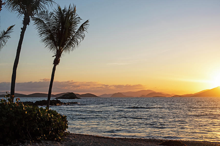 Sapphire Beach Sunrise in Saint Thomas Caribbean Palm Trees Photograph by Toby McGuire
