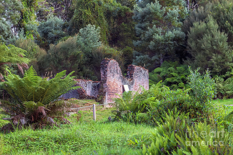 Penal Settlement, Sarah Island, Tasmania, Australia Photograph by Elaine Teague