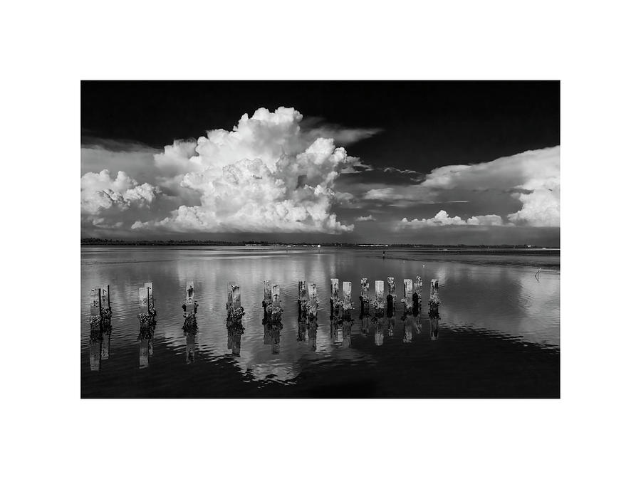 Sarasota Bay Photograph by ARTtography by David Bruce Kawchak