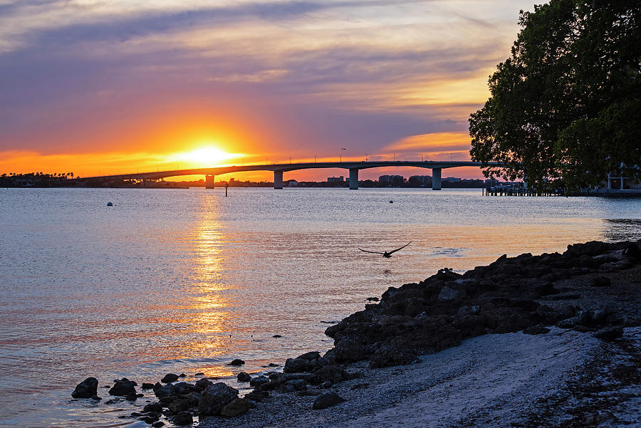 Sarasota FL Bayfront Park Sunset John Ringling Causeway Bridge Florida Pelican Photograph by Toby McGuire