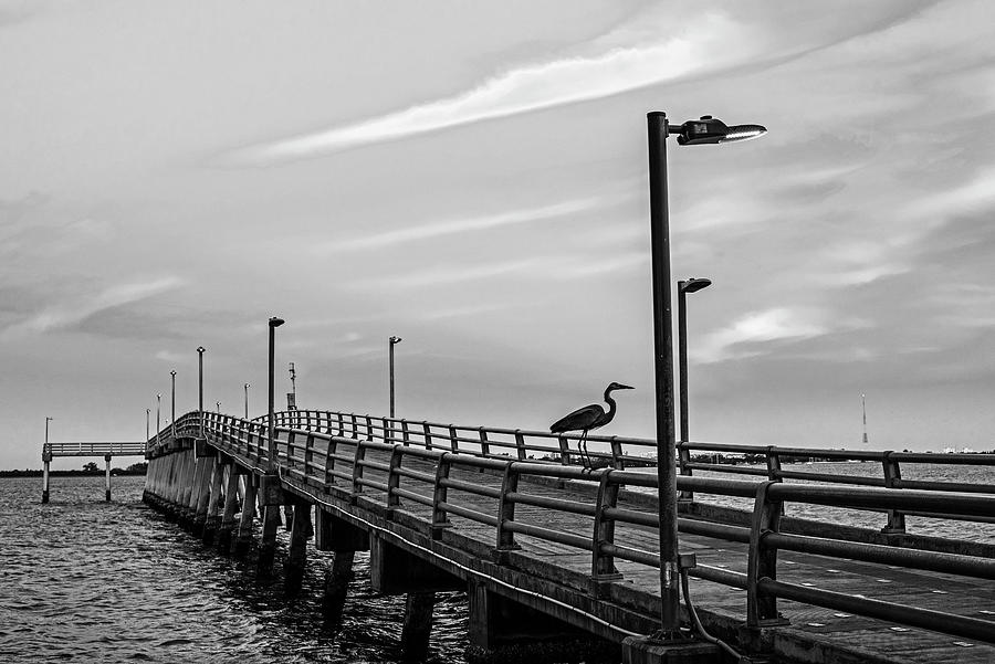 Sarasota FL Fishing Pier Sunrise Florida Black and White Photograph by Toby McGuire