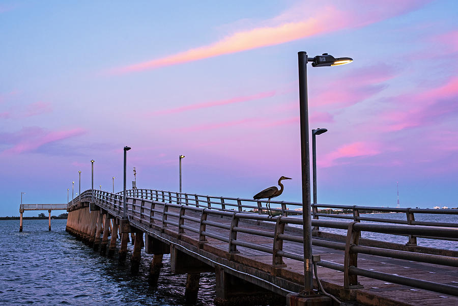 Sarasota FL Fishing Pier Sunrise Florida Photograph by Toby McGuire