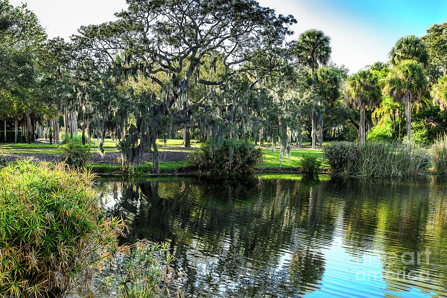 Sarasota Florida Landscape Photograph by Ben Graham - Fine Art America