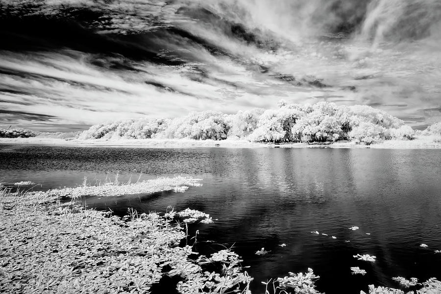 Nature Photograph - Sarasota Lake by Jon Glaser