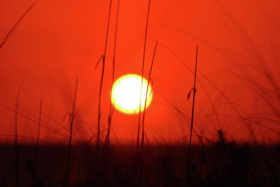 Sunset Photograph - Sarasota Sun by DJ Florek