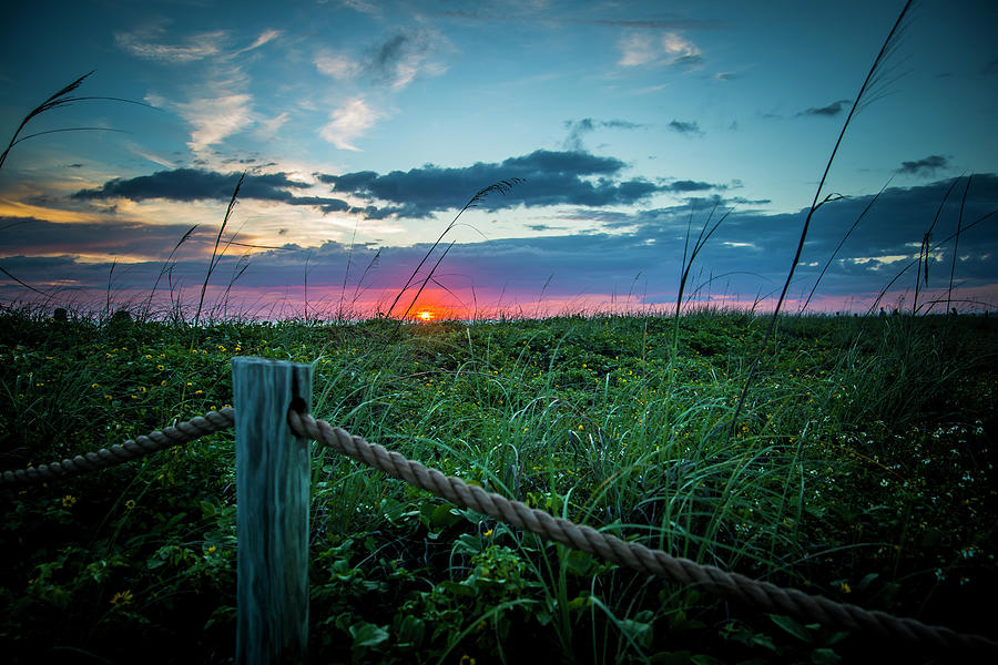 Sarasota Sunset Photograph by Rod Kaye