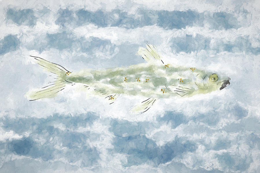 Sardine Swimming Digital Art by Alison Frank