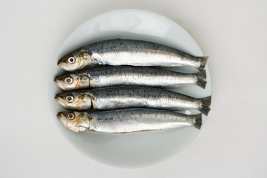 Sardines Photograph by Image Source
