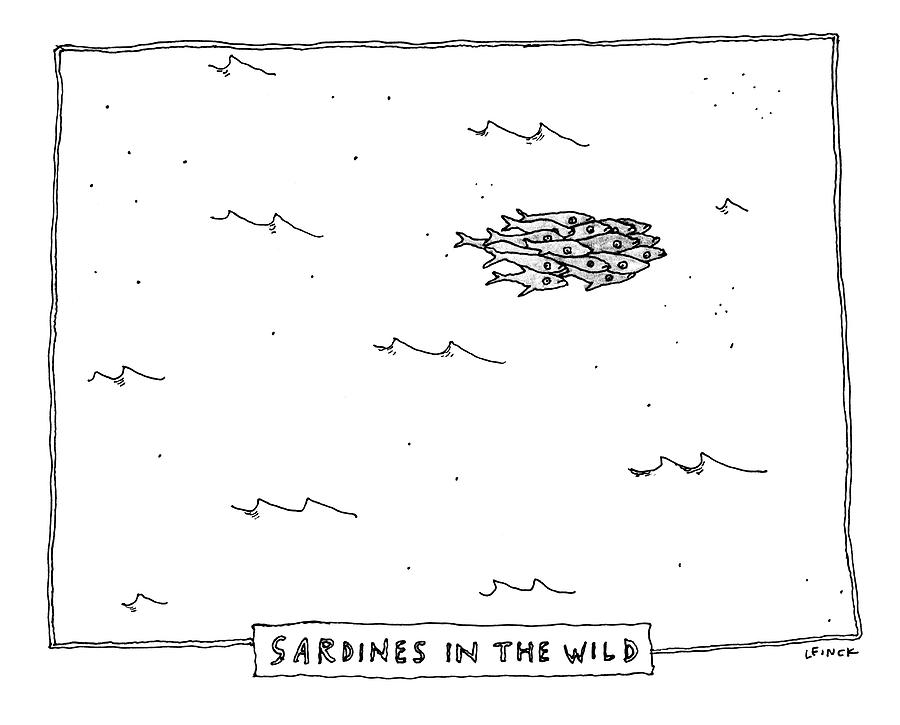 Sardines in the Wild Drawing by Liana Finck