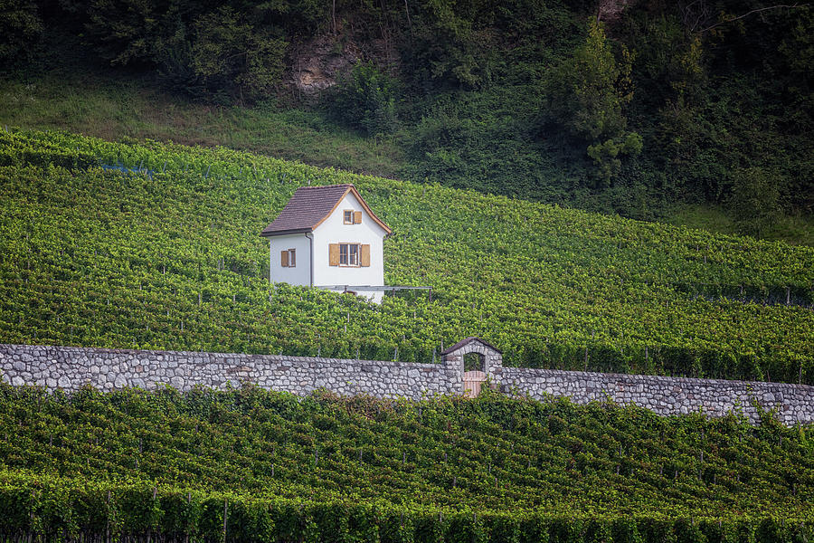 Sargans - Switzerland Photograph by Joana Kruse