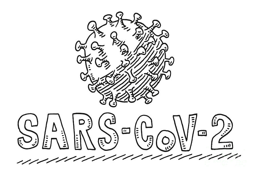 Black And White Drawing - SARS-CoV-2 Virus Drawing by Frank Ramspott
