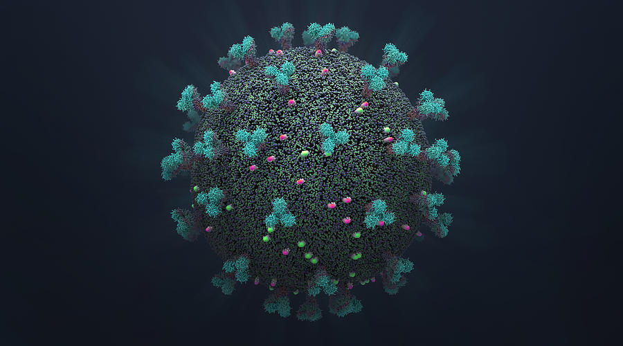 SARS virus, illustration Drawing by Christoph Burgstedt/science Photo Library