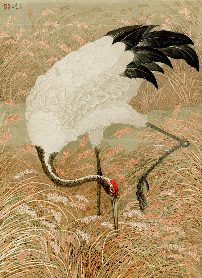 Sarus Crane In Rice Field Painting