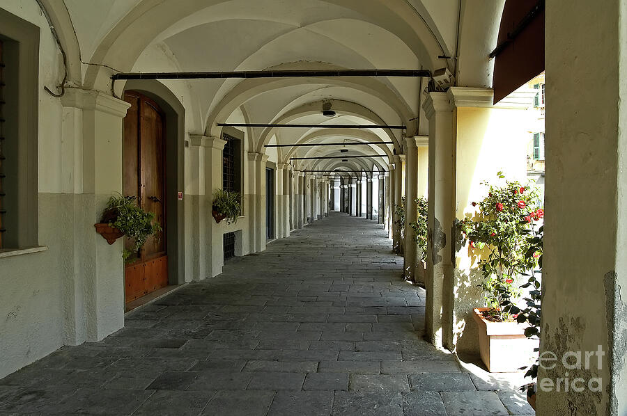 Colonnade - Sarzana - Italy Photograph by Paolo Signorini - Fine Art ...