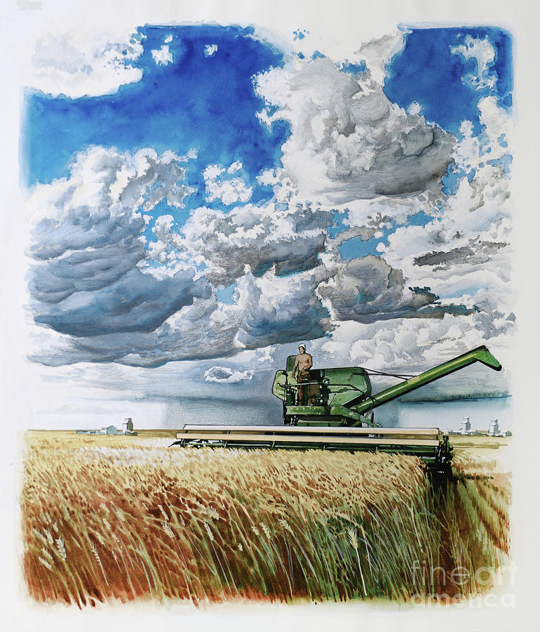 Saskatchewan Harvest Painting by Jim Butcher