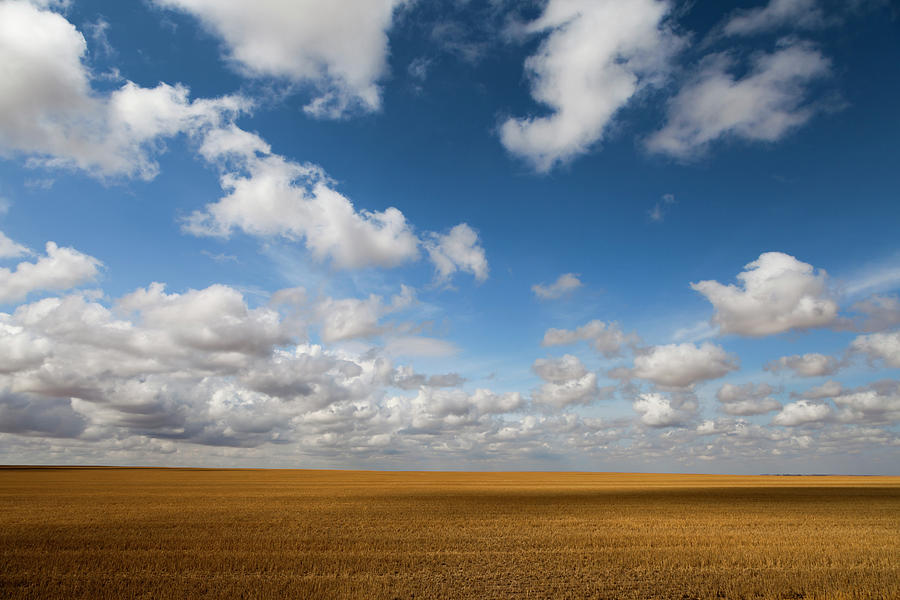 Saskatchewan Prairie and Sky Photograph by Rick Pisio - Fine Art America