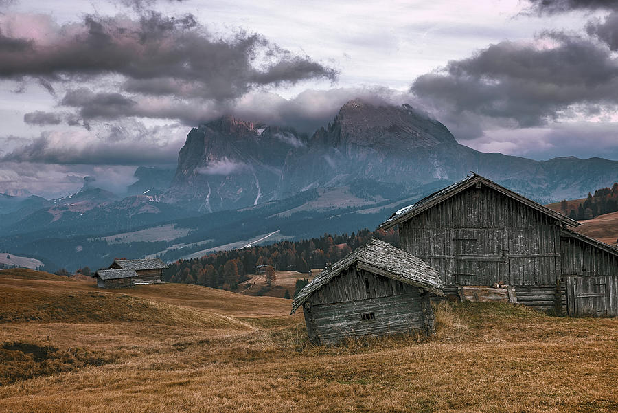 Sassolungo Mount - Alpe di Siusi Photograph by Elias Pentikis