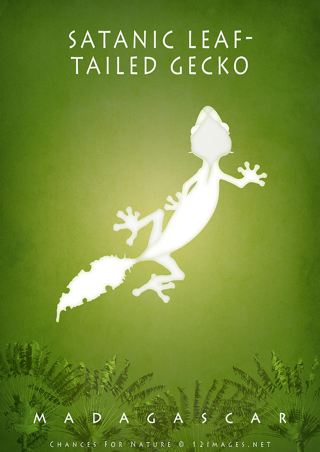 Satanic leaf-tailed gecko Digital Art by Moira Risen