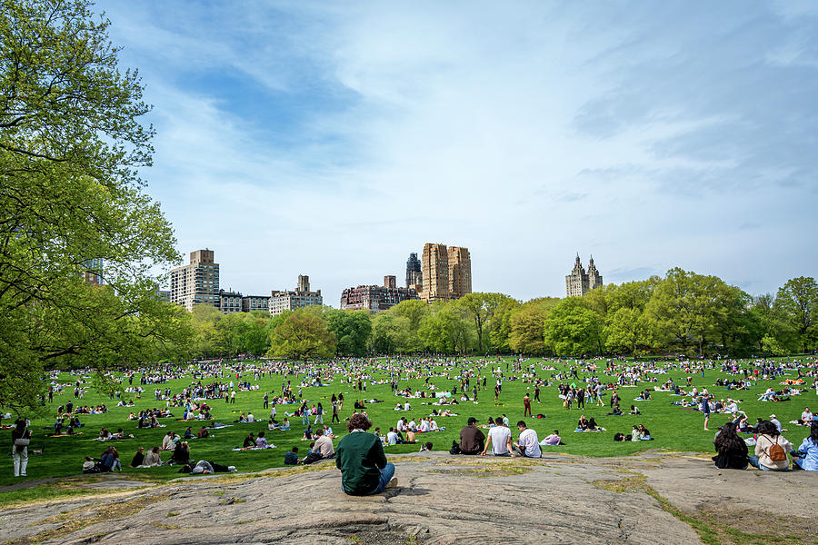 Saturday In Central Park NYC Photograph by Debra Martz