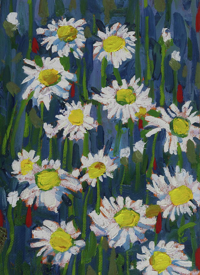 Saturday Sunrise Daisies Painting by Phil Chadwick