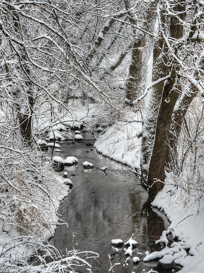 Saunders Creek Dressed in White -  Small WI creek bedazzled with fresh winter snow - color Photograph by Peter Herman