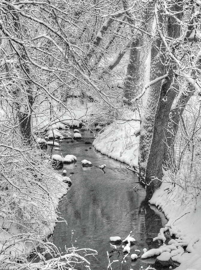 Saunders Creek Dressed in White -  Small WI creek bedazzled with fresh winter snow - Black and White Photograph by Peter Herman