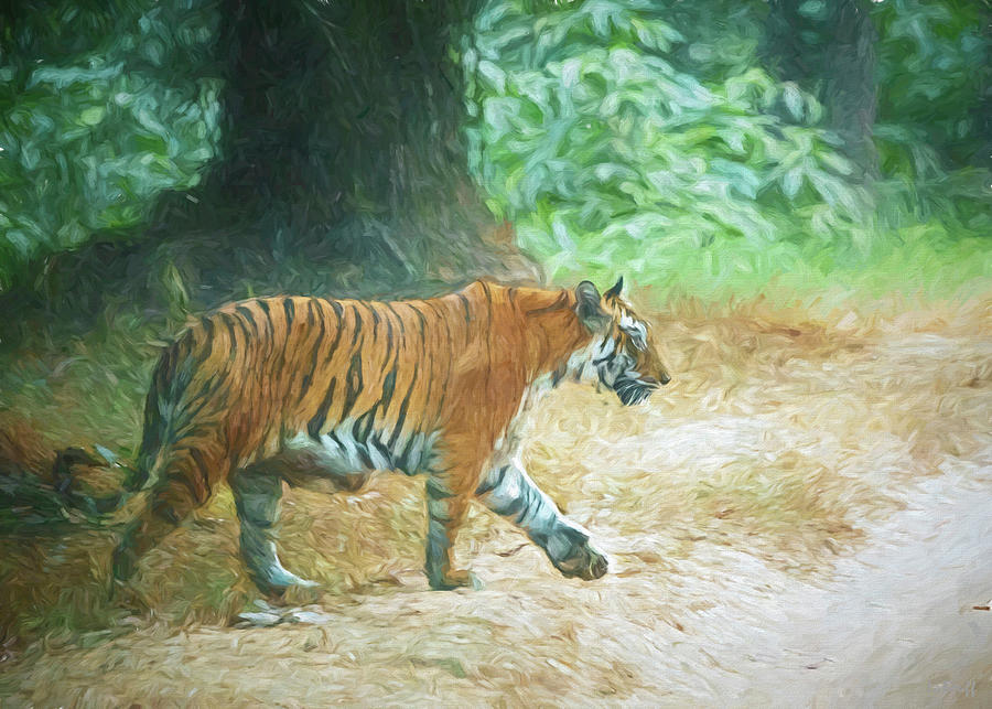 Sauntering Tiger Mixed Media by Jennifer LaBouff