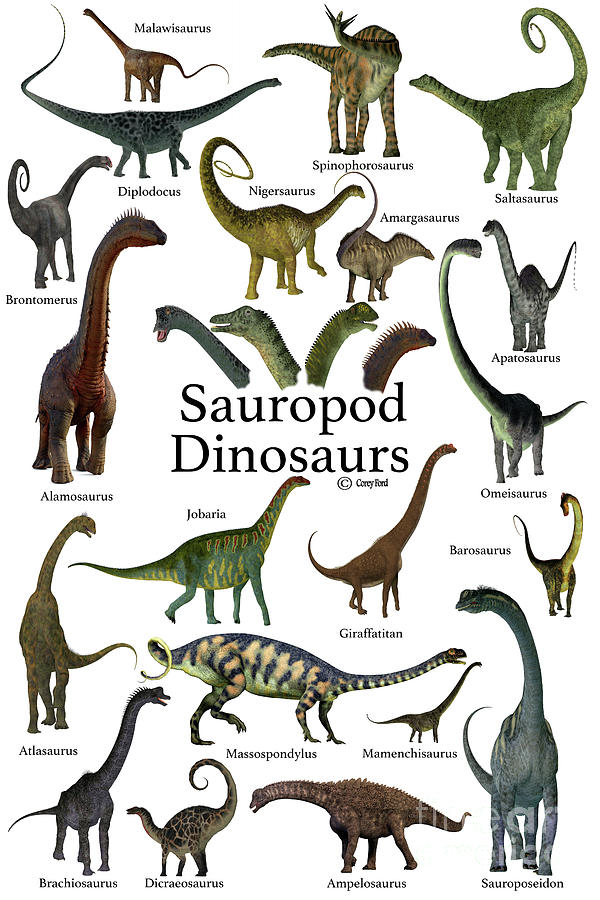 Sauropod Dinosaurs Digital Art by Corey Ford