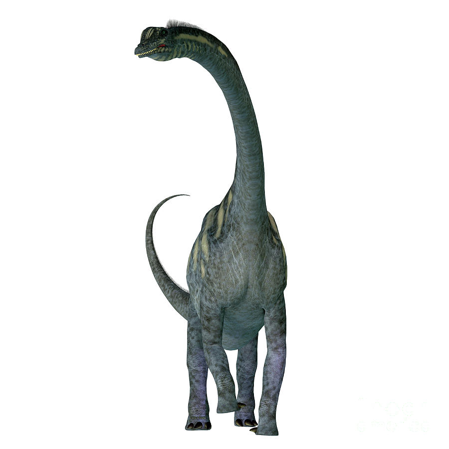 Prehistoric Digital Art - Sauroposeidon Dinosaur Front by Corey Ford